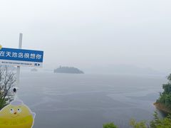 -浔味·山屿湖·正宗淳牌全鱼宴老字号