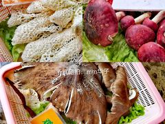 -菌海森林·非遗野生菌火锅(西山区滇池路摩根道店)