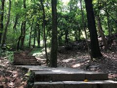 -九曜山