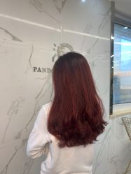 -潘多拉Hairsalon