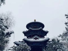 -迎泽公园