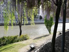 -嘉定紫藤园