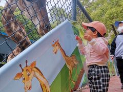 -荆州中山公园动物园