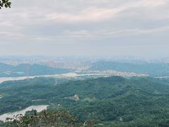 -深圳仙湖植物园