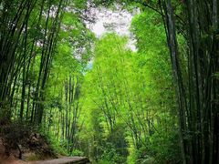 -漫山居私汤民宿全竹宴