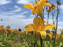 -汉长安城未央宫国家考古遗址公园