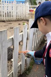-前小桔亲子创意农场·草莓采摘·露营烧烤