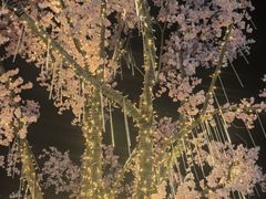 -首开·龙湖成都西宸天街