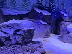 -上海海昌海洋公园