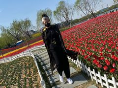 -廊坊文化艺术中心