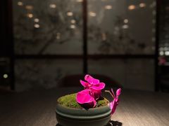 餐具摆设-悦轩中餐厅·高空江景·杭州柏悦酒店