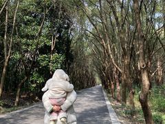 -同里国家湿地公园