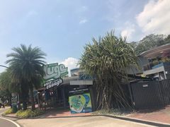 -圣淘沙天际线斜坡滑车