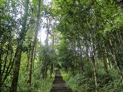 -太阳湾风景区