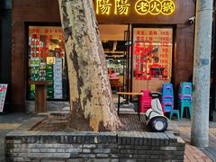 -阳阳老火锅(小南门店)