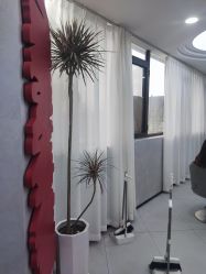 -I+造型烫发染发