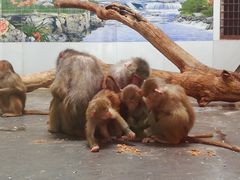 -西安秦岭野生动物园