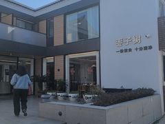 -枣子树·素食餐厅(普陀山店)