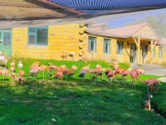 -哈尔滨北方森林动物园