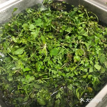 荠菜馄饨自由，爱你无限♾