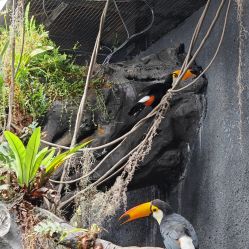 -Zoolung Zoolung动物主题公园(海信广场店)