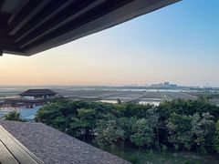 -大湾区中央湿地公园