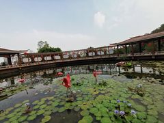 -广州莲花山旅游区