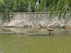 -南翠屏公园