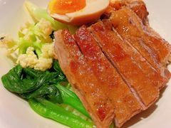 金奖卤鹅肉饭-陈鹏鹏潮汕菜(宝安机场T3航站楼店)