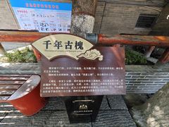 -洛阳周公庙博物馆