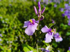 -停车场(临桂路)