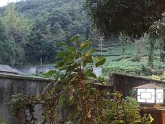 -随意茶庄·地道杭帮农家菜(梅家坞店)