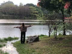 -东莞植物园