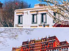 -布达拉宫