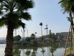 -枫香湖儿童公园