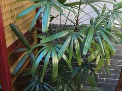 -悦真雅院·四合院·清真私房菜(雍和宫店)