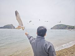 -棒棰岛宾馆景区