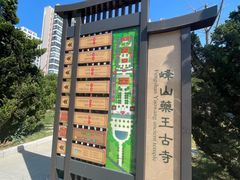 -天津市峰山药王古寺