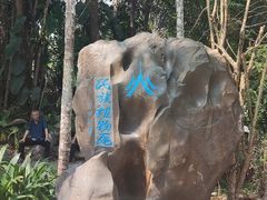 -中国科学院西双版纳热带植物园
