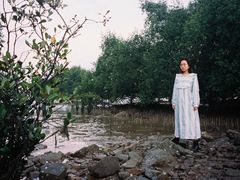 -宝安西湾红树林湿地公园