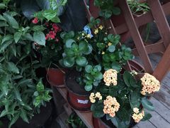 -203密室逃脱体验馆·聚会·亲子·团建(中关村店)