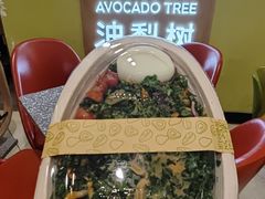 -油梨树AVOCADO TREE(嘉里中心店)