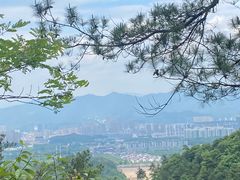 -大奇山国家森林公园