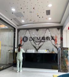 -DEM缔怡美科技美容