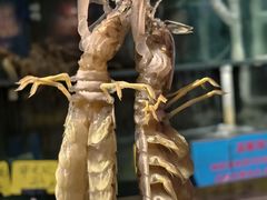 -辉记炭烧海鲜大排档·老字号(福田店)