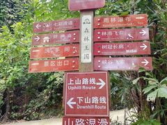 -南丹山森林王国