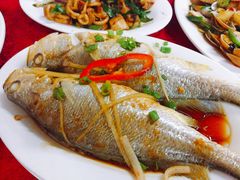 -蛇口康乐快餐鱼仔档(翠苑小区店)