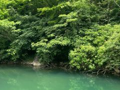 -东海大峡谷
