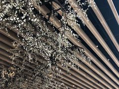 大堂-Seesaw Coffee(朝阳大悦城店)