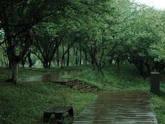 -洋湖国家湿地公园